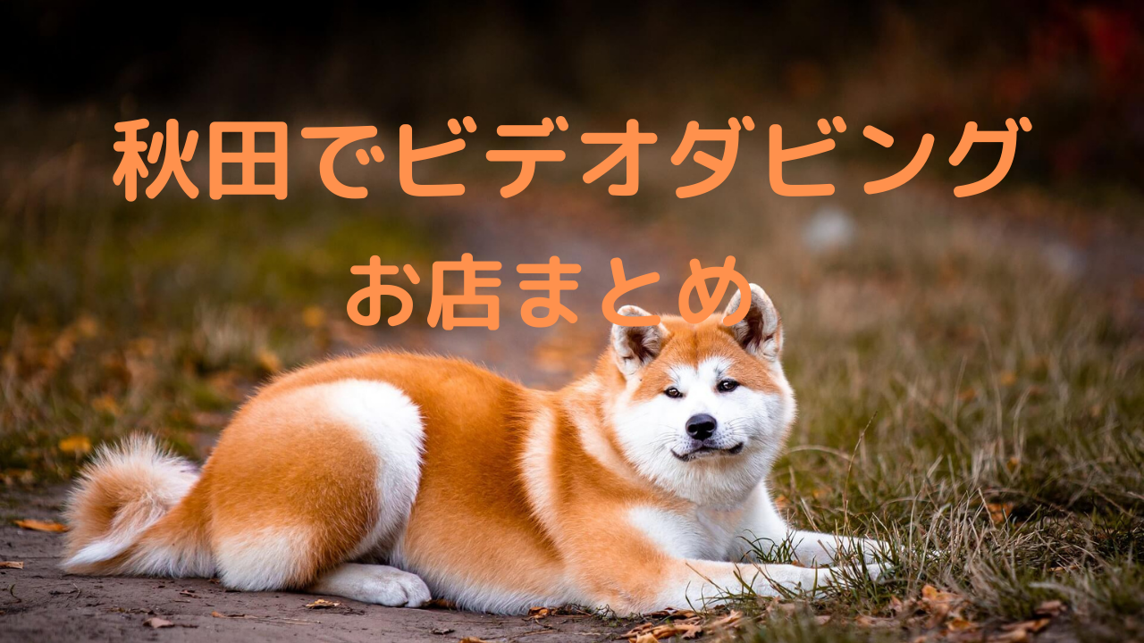 【2021年秋田のお店比較】秋田県のビデオダビング店まとめ